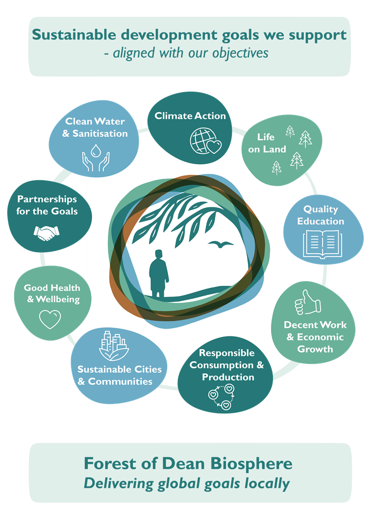 Sustainable development goals we support