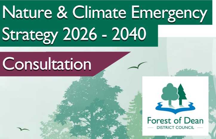 Cropped image of the Forest of Dean Nature & Climate Emergency Strategy Consultation